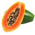 factory suppy high quality 100% natural papaya fruit extract powder